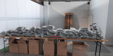 Zoll stellt 37 Kilo Marihuana im Möbeltransport sicher
