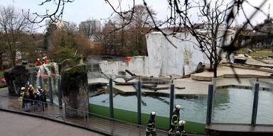 Eisb&auml;ren Zoo Karlsruhe