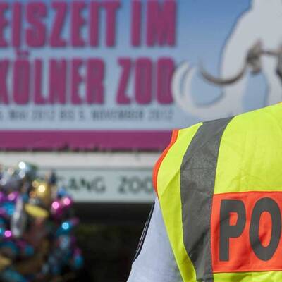 Tödliche Tiger-Attacke in Köln  