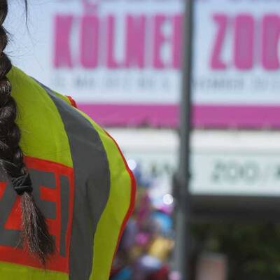 Tödliche Tiger-Attacke in Köln  