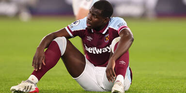 Zoumas Katzen nach Tierqu&auml;lerei-Skandal in Gewahrsam