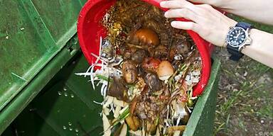 Zu viel N&auml;sse zerst&ouml;rt Zersetzung