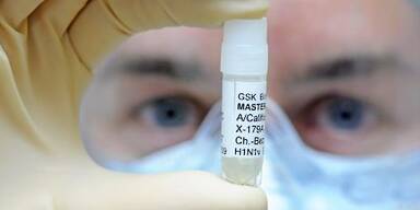 Intercell testet Impfpflaster gegen Reisedurchfall