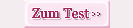 Zum-Test1