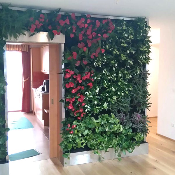 Gartenwand: So lieben wir grüne Weihnachten