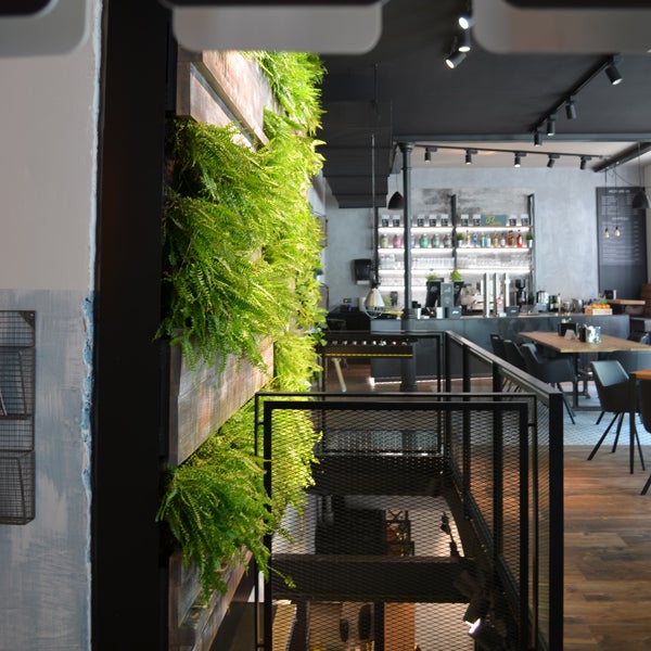 Gartenwand: So lieben wir grüne Weihnachten