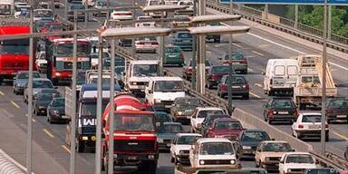 &Ouml;AMTC glaubt niederl&auml;ndischer Regierung nicht