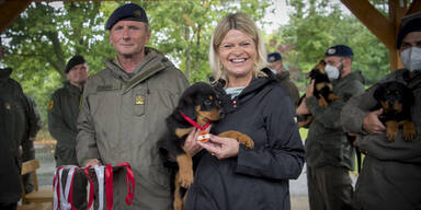 Tanner tauft 8 Rottweiler-Welpen