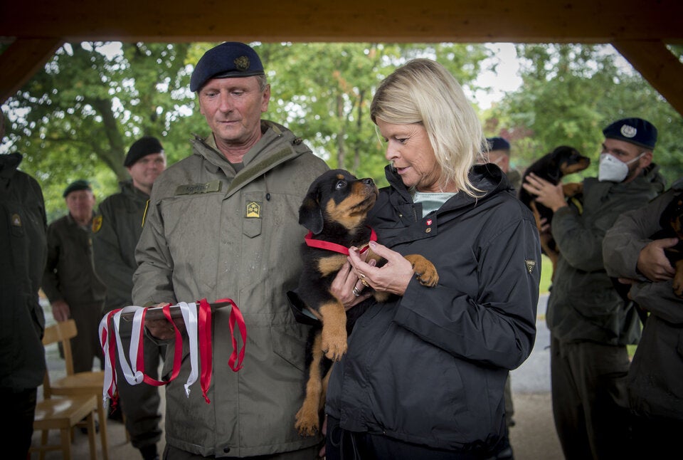 Tanner tauft 8 Rottweiler-Welpen