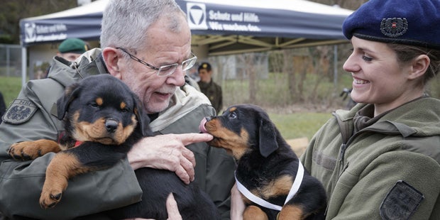 Van der Bellen Militärhunde Rottweiler
