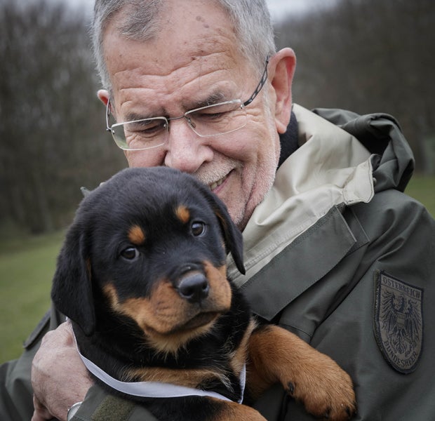 Van der Bellen Militärhunde Rottweiler