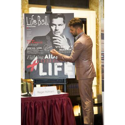 Life Ball Pressekonferenz im Hotel Imperial am 31. Mai 2014