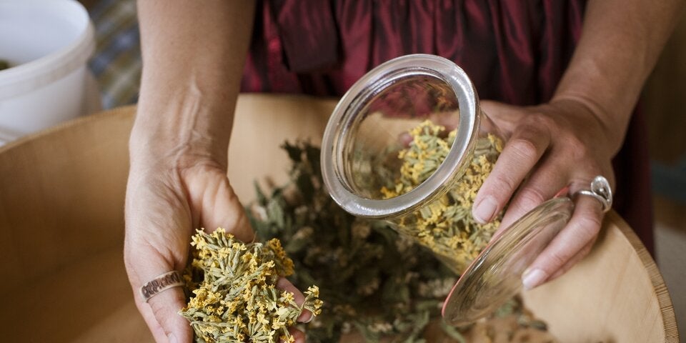 Allgäuer Wildkräuter erleben Renaissance