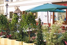 „Zum Andreas Hofer“