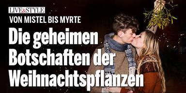Von Mistel bis Myrte: Die geheimen Botschaften der Weihnachtspflanzen