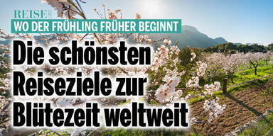 Wo der Frühling früher beginnt: Die schönsten Reiseziele zur Blütezeit weltweit