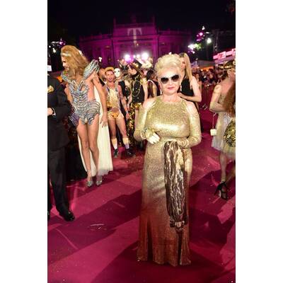 Life Ball 2015: Alle Stars