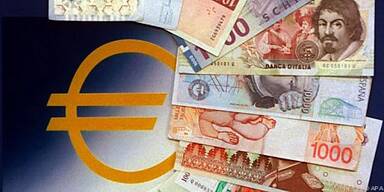 &Uuml;berpr&uuml;fung der individuellen Fremdw&auml;hrungssituation