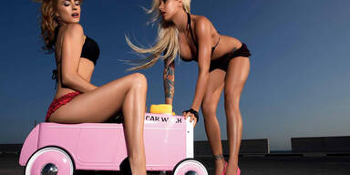 Scharfe Autowäsche als Kalender