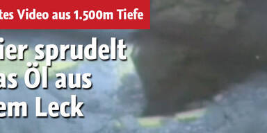 Hier sprudelt das Öl aus dem Leck