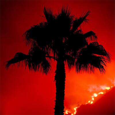 Waldbrände vor Los Angeles