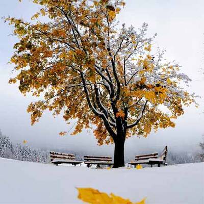 Wintereinbruch in Europa