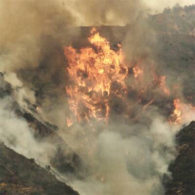 Waldbrände vor Los Angeles