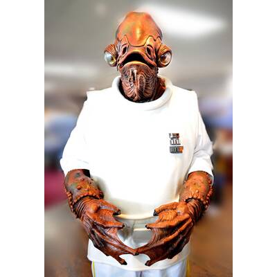 Star Wars: Unterschätzte Helden