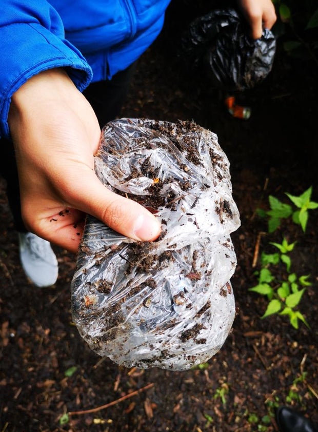 Mutmaßliche Diebe vergruben Handys im Wiener Antonspark