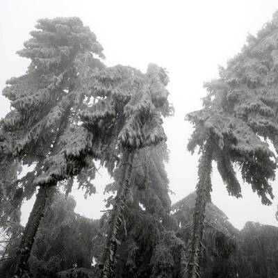 Ausnahmezustand in Ottenschlag