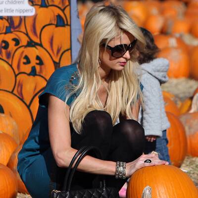 Kürbisse für Klein und Groß in Hollywood