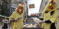 Hühner Protest Stephansplatz