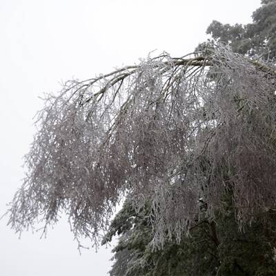 Waidhofen an der Thaya, NÖ