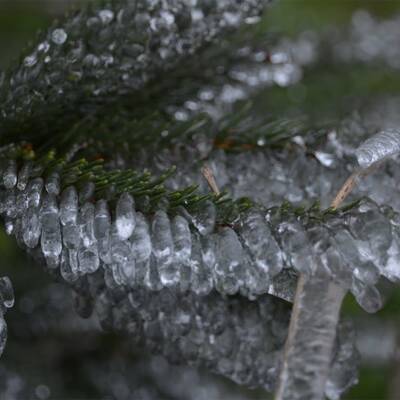 Waidhofen an der Thaya, NÖ