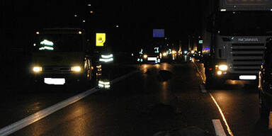 Vier Autos rasen in Wildschwein-Rudel 