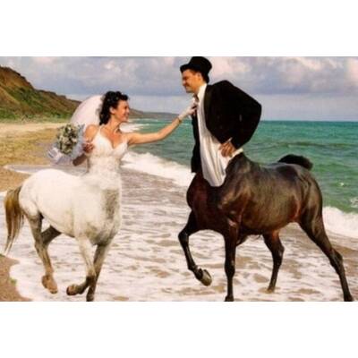 Crazy Hochzeitsfotos