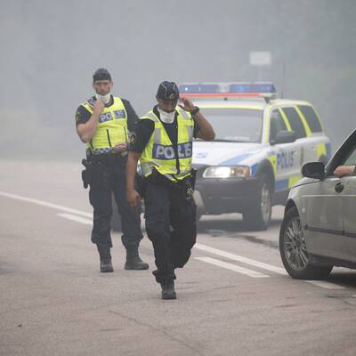 Größter Waldbrand aller Zeiten