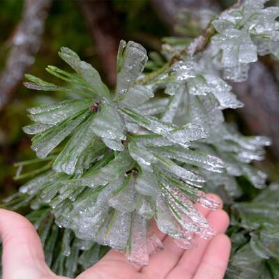 Waidhofen an der Thaya, NÖ