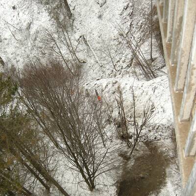 Wie durch ein Wunder überlebte die 41-Jährige den Horror-Unfall