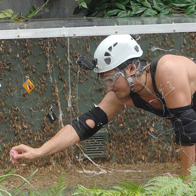 Tag 10 im Dschungelcamp