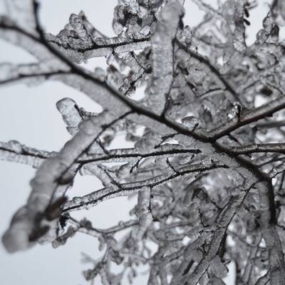 Waidhofen an der Thaya, NÖ