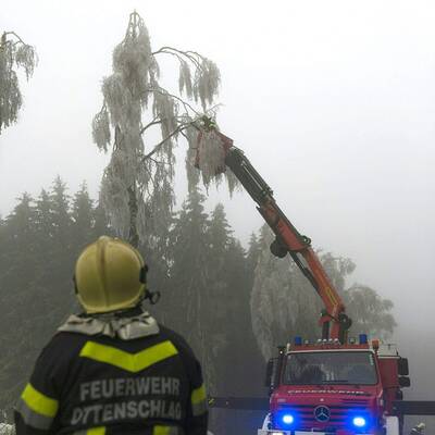 Waidhofen an der Thaya, NÖ