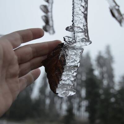 Waidhofen an der Thaya, NÖ