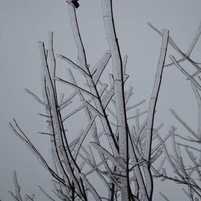 Waidhofen an der Thaya, NÖ