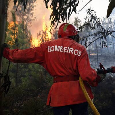 Gewaltiger Waldbrand in Portugal