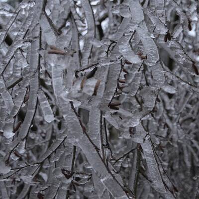 Waidhofen an der Thaya, NÖ