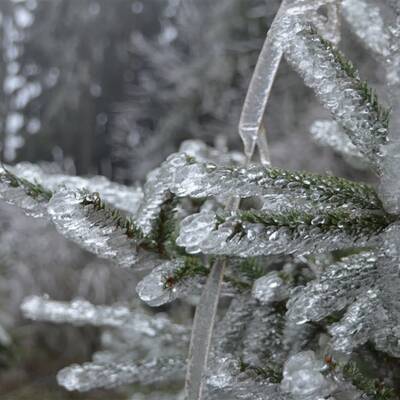 Waidhofen an der Thaya, NÖ