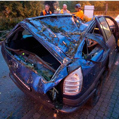 Bäume stürzten auf Autos