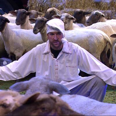 Promi Big Brother: Schäfchen für alle