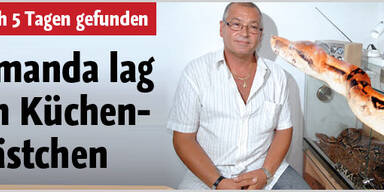 Amanda lag im Küchenkastl